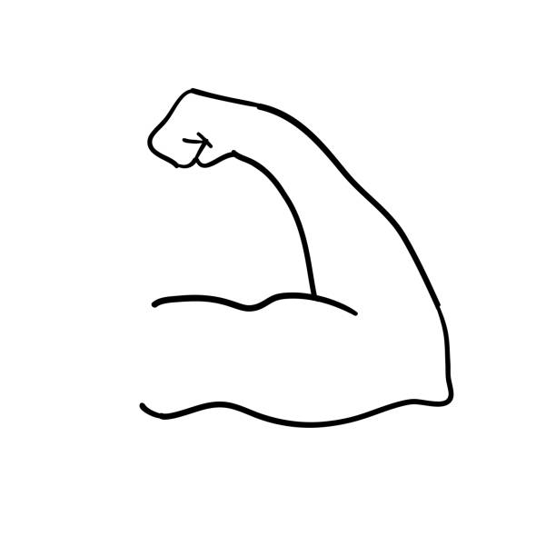 illustrazioni stock, clip art, cartoni animati e icone di tendenza di bicep muscolo illustrazione disegnato a mano doodle stile vettore - human muscle human arm muscular build body building
