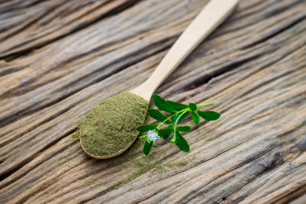istock Stevia powder in wooden spoon 1195238393