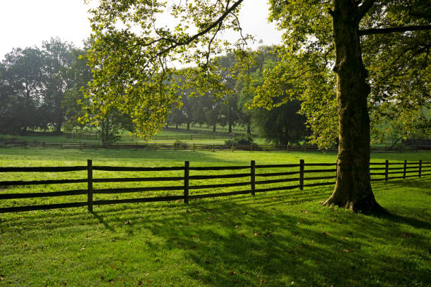 Taken near Coatesville, PA, August 2019