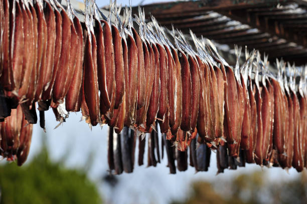 istock Half-dried Herring or Billfish, Korean called Gwamegi 1195239310