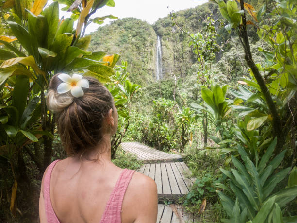 istock Young woman walking in tropical rainforest exploring nature 1195240662