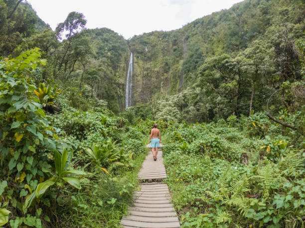 istock Young man resting near waterfall in Hawaii, Maui 1195240709