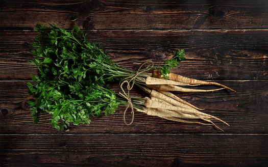 Two bunches of parsley parsnip roots and green leaves, tied with cord, overhead photo on dark wooden board.