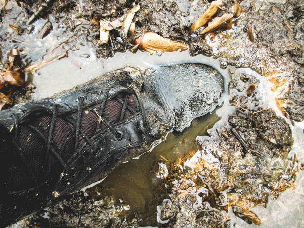 istock buried leg in mud, dirty 1195243738