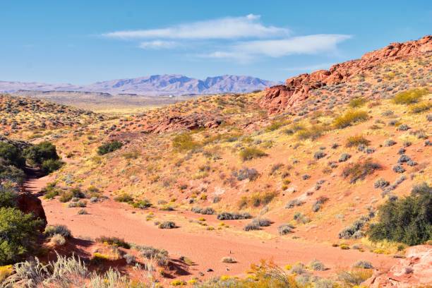 istock Red Cliffs National Conservation Area Wilderness and Snow Canyon State Park from the  Elephant Arch and bone wash Trail by St George, Utah in desert reserve. United States. USA. 1195245545