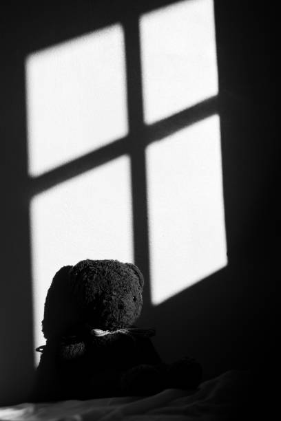 Teddy bear cudldy toy waiting window