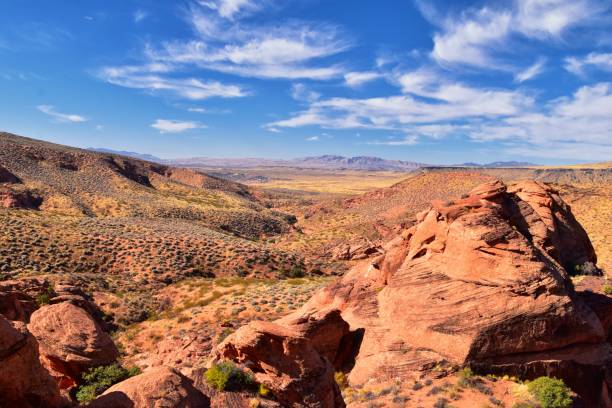 istock Red Cliffs National Conservation Area Wilderness and Snow Canyon State Park from the  Elephant Arch and bone wash Trail by St George, Utah in desert reserve. United States. USA. 1195246224