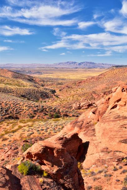 istock Red Cliffs National Conservation Area Wilderness and Snow Canyon State Park from the  Elephant Arch and bone wash Trail by St George, Utah in desert reserve. United States. USA. 1195246608