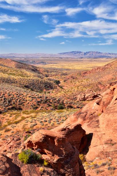 istock Red Cliffs National Conservation Area Wilderness and Snow Canyon State Park from the  Elephant Arch and bone wash Trail by St George, Utah in desert reserve. United States. USA. 1195246792