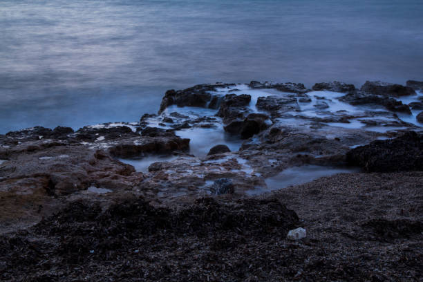 istock Good morning on the beach 1195248972