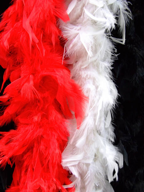 istock Fashion feathers 1195251035