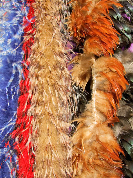 penas diferentes - mardi gras carnival peacock mask - fotografias e filmes do acervo
