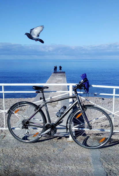 istock Seascape with a bicycle and flying bird 1195252900