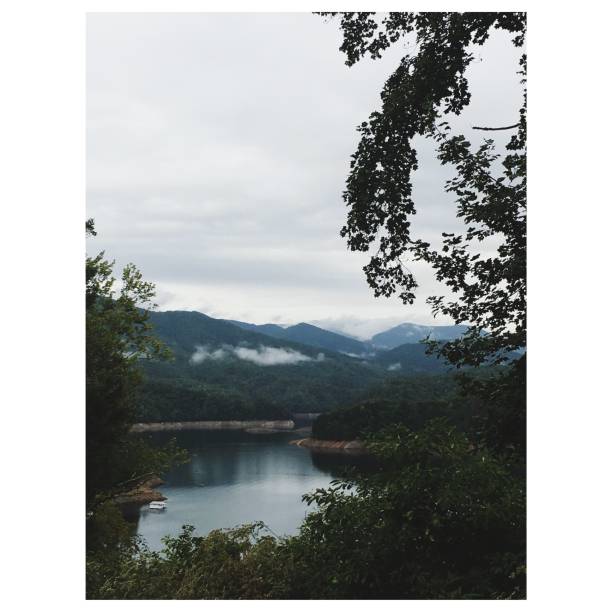 istock House on the Lake 1195253084