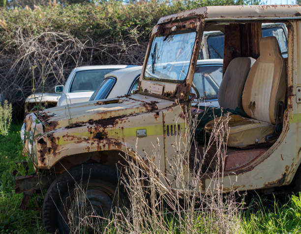 istock Beige rusty retro car in the bushes 1195257427