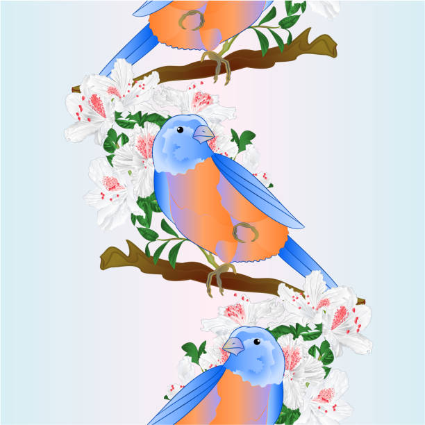 pionowe obramowanie bez szwu tło małe songbirdon bluebird drozd i biały rododendron wiosna tło vintage ilustracja wektorowa edytowalna - spring birdsong bird seamless stock illustrations