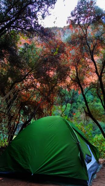 istock A tent amongst different nature with its colors 1195258433