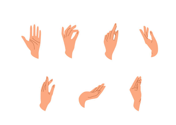ilustraciones, imágenes clip art, dibujos animados e iconos de stock de manos vectoriales en estilo simple plano de moda aislado sobre un fondo blanco. varios gestos, poses de mano humana en diferentes situaciones. ilustración vectorial - pinching
