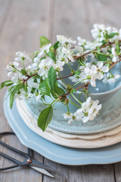istock Branches of white cherry blossoms on a stack of blue plates and scissors 1195262662