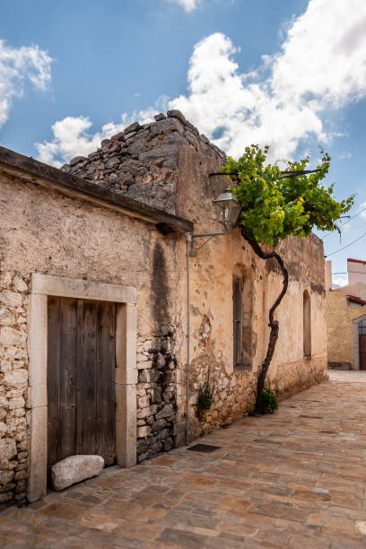 istock Doors of an old house with vines 1195262730