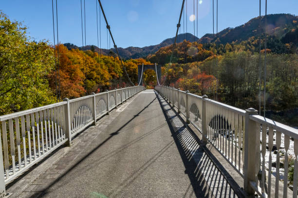 istock Bridge over Daiya River in Nikko, Japan 1195263973