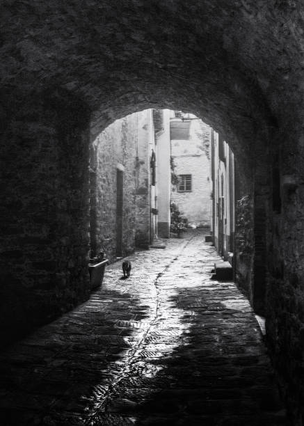 istock Lonely cat walks through medieval alley in Tuscany. 1195264093