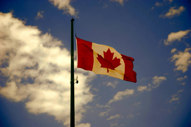 istock Canadian flag waving on the wind 1195264238