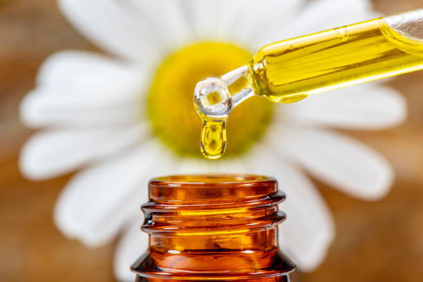 istock Alternative medicine and acupuncture 1195265084