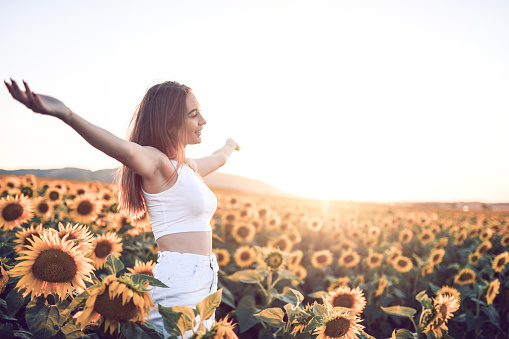 Sunset Shining Upon Beautiful Female In Sunflower Fields