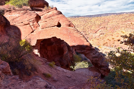 Elephant Arch in Red Cliffs National Conservation Area Wilderness and Snow Canyon State Park hiking by St George, Utah in desert reserve. United States. USA.