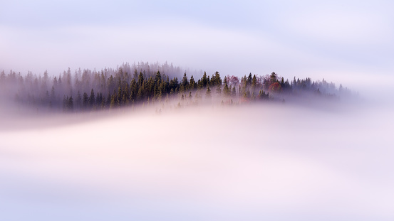 Slow moving clouds over the pine forest in the German alps - long exposure