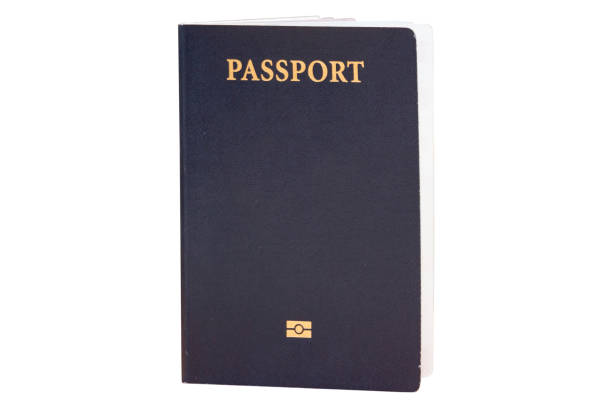 biometrischer reisepass eines bürgers - customs official examining emigration and immigration document stock-fotos und bilder