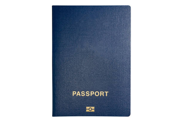 biometrischer reisepass - customs official examining emigration and immigration document stock-fotos und bilder