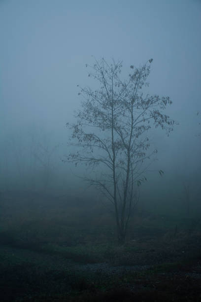 istock Railway in the fog 1195276396