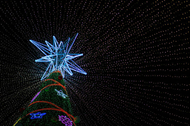 The sight of a huge Christmas tree in downtown Busan, Korea