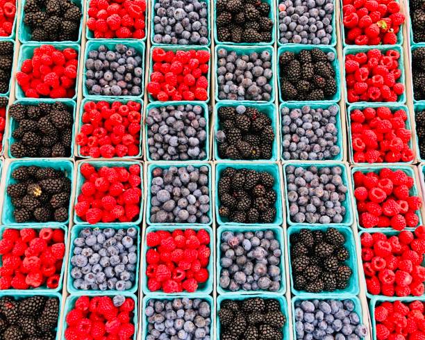 Fresh berries displayed at local farmers market
