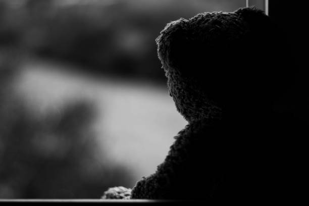 Teddy bear window waiting looking outdoor cute black and white