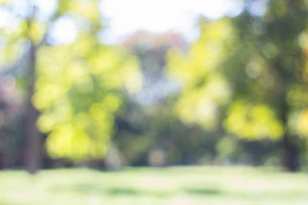 istock City park bokeh background 1195283393