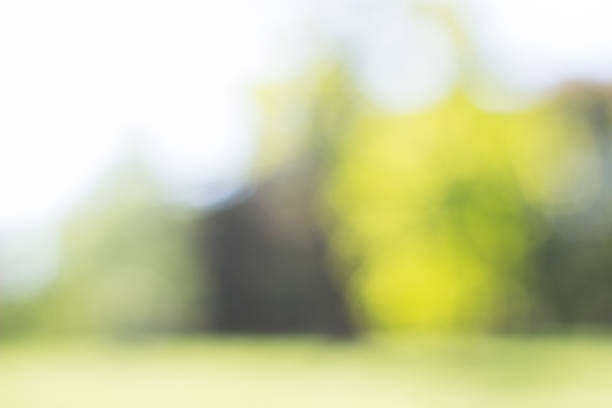 istock City park bokeh background 1195283418