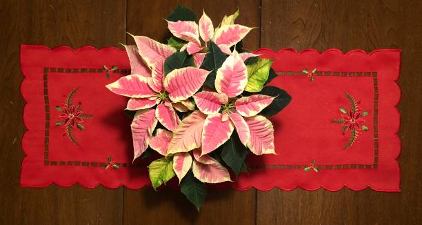 Poinsettia center piece