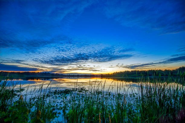 istock Sunset over Calm Lake with Lily Pads and Cattails 1195299349