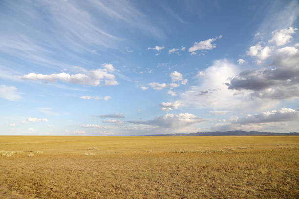 istock Mongolian Landscape in Gobi Desert 1195300107