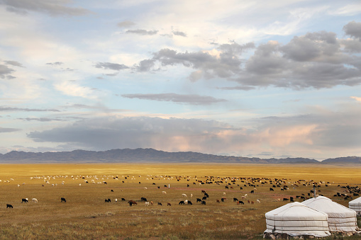 Mongolian Ger (Yurt) and Landscape in Gobi Desert\nGobi, Mongolia