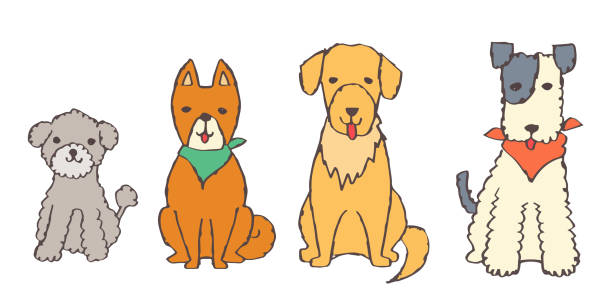 여러 종류의 개가 앉아 있습니다. - dog mixed breed dog group of animals small stock illustrations