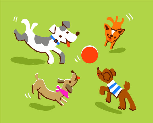 ilustrações de stock, clip art, desenhos animados e ícones de four dogs playing with a ball - dog mixed breed dog group of animals small