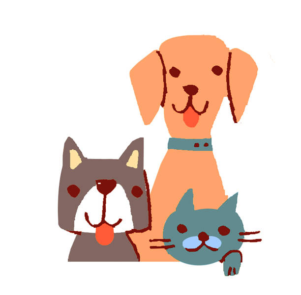 drei hunde und katzen, die gute freunde sind - golden retriever retriever white background isolated stock-grafiken, -clipart, -cartoons und -symbole