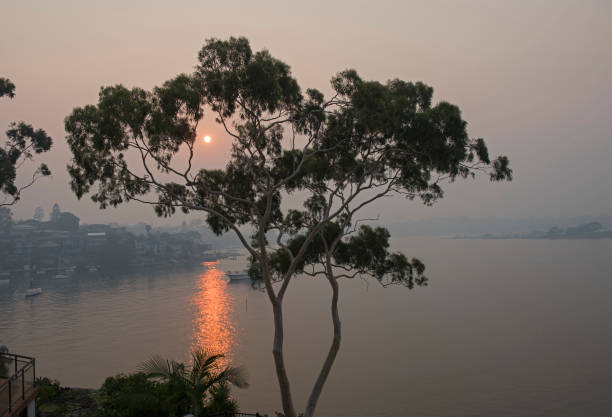 Bushfire smoke over parramatta river, Sydney, Australia.