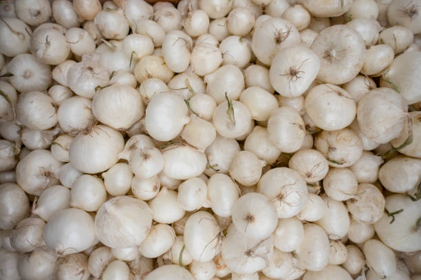 pearl onion