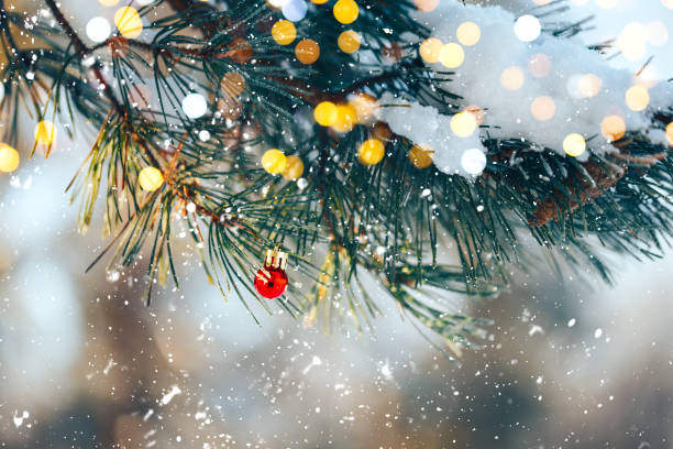 istock Christmas balls on tree outdoor 1195306882
