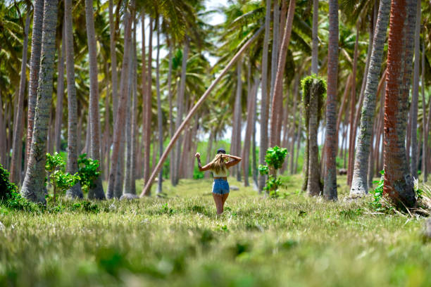 Woman Walking Through Grassy Palm Tree Field Women walking through a grass underneath the palm trees vanuatu stock pictures, royalty-free photos & images